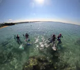 武藤潜水に投稿された画像（2023/10/17）