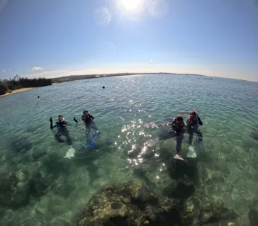 武藤潜水に投稿された画像（2023/10/17）