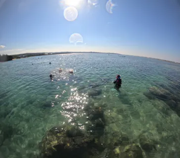 武藤潜水に投稿された画像（2023/10/17）