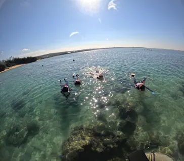 武藤潜水に投稿された画像（2023/10/17）