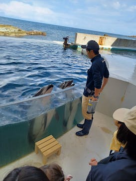 城崎マリンワールドに投稿された画像（2023/10/17）