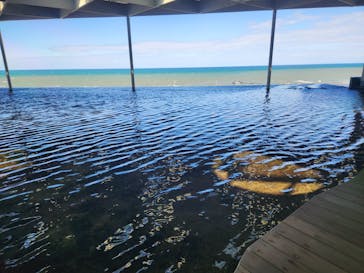 上越市立水族博物館 うみがたりに投稿された画像（2023/10/17）