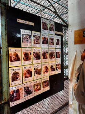 那須ワールドモンキーパークに投稿された画像（2023/10/17）