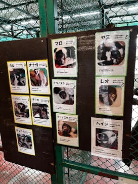 那須ワールドモンキーパークに投稿された画像（2023/10/17）