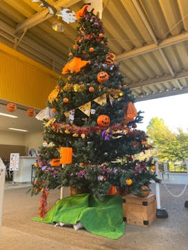 日本モンキーパークに投稿された画像（2023/10/17）