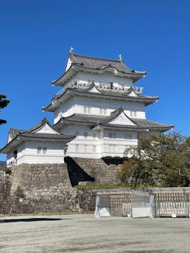 小田原城に投稿された画像（2023/10/17）