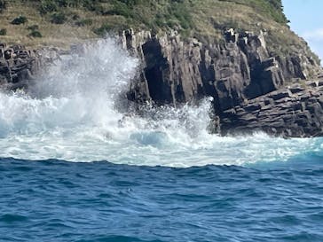 東尋坊観光遊覧船株式会社に投稿された画像（2023/10/17）