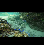 武藤潜水に投稿された画像（2023/10/17）