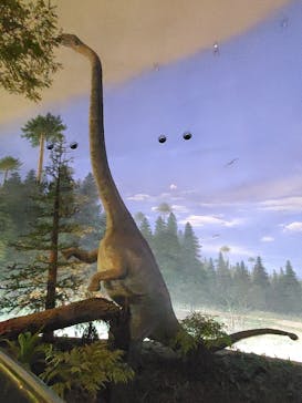 福井県立恐竜博物館に投稿された画像（2023/10/17）