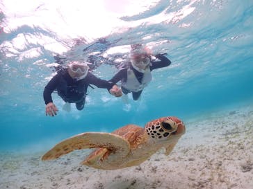 宮古島マリン GB QUESTに投稿された画像（2023/10/17）