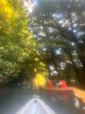 カヌー体験　らぐ～んに投稿された画像（2023/10/17）