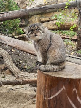 那須どうぶつ王国に投稿された画像（2023/10/17）