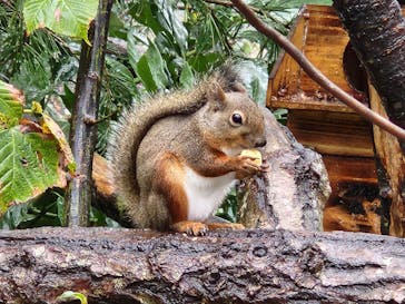 那須どうぶつ王国に投稿された画像（2023/10/17）