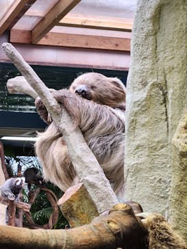 那須どうぶつ王国に投稿された画像（2023/10/17）