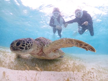 宮古島マリン GB QUESTに投稿された画像（2023/10/17）