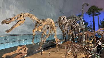 福井県立恐竜博物館に投稿された画像（2023/10/17）