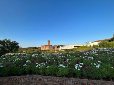 志摩スペイン村パルケエスパーニャに投稿された画像（2023/10/17）