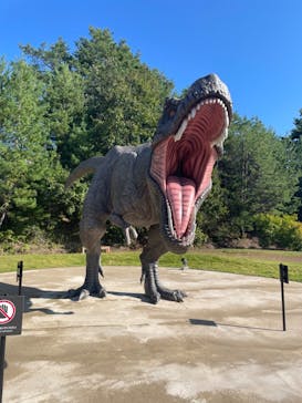福井県立恐竜博物館に投稿された画像（2023/10/17）