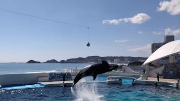 鴨川シーワールドに投稿された画像（2023/10/17）