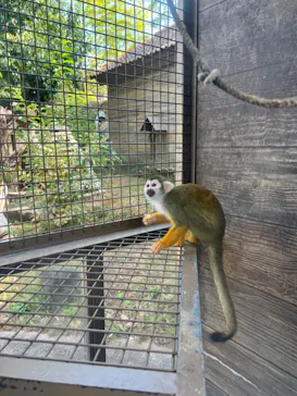 ひらかたパークに投稿された画像（2023/10/17）