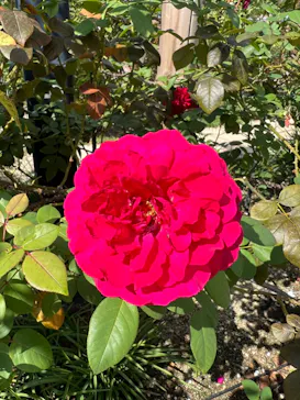 ひらかたパークに投稿された画像（2023/10/17）