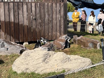 名古屋港水族館に投稿された画像（2023/10/17）