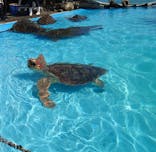 鴨川シーワールドに投稿された画像（2023/10/18）