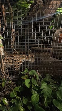 沖縄こどもの国に投稿された画像（2023/10/17）