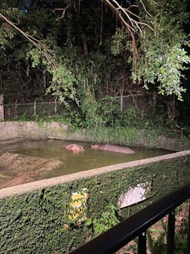 沖縄こどもの国に投稿された画像（2023/10/17）