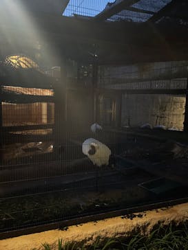 沖縄こどもの国に投稿された画像（2023/10/17）