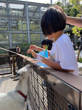 沖縄こどもの国に投稿された画像（2023/10/17）