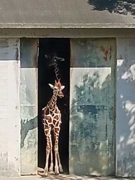 沖縄こどもの国に投稿された画像（2023/10/17）