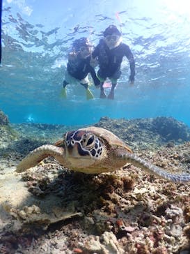 タビワク　宮古島に投稿された画像（2023/10/17）