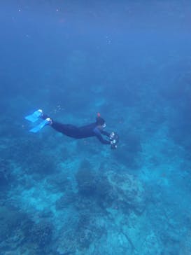 marine assist DEMI（マリンアシストデミ）に投稿された画像（2023/10/17）