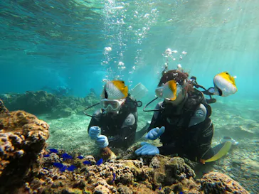 武藤潜水に投稿された画像（2023/10/18）