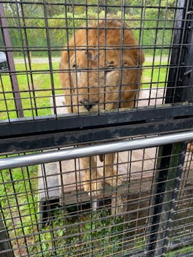 那須サファリパークに投稿された画像（2023/10/18）