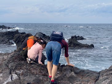 オレンジフィッシュに投稿された画像（2023/10/18）