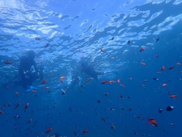 石垣島 ADVENTURE PiPi（イシガキジマアドベンチャーピピ）に投稿された画像（2023/10/18）