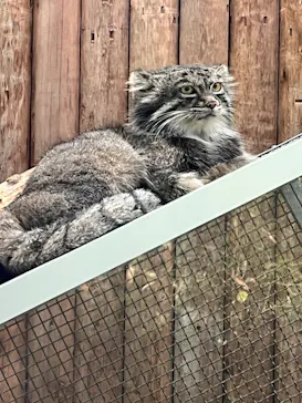 神戸どうぶつ王国に投稿された画像（2023/10/18）