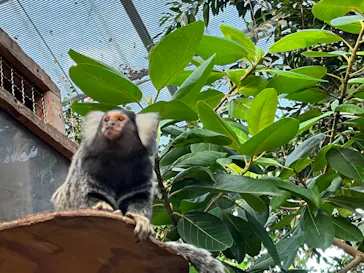 神戸どうぶつ王国に投稿された画像（2023/10/18）