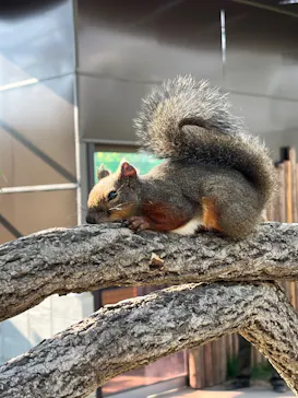 神戸どうぶつ王国に投稿された画像（2023/10/18）