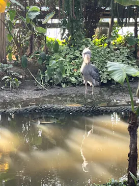 神戸どうぶつ王国に投稿された画像（2023/10/18）