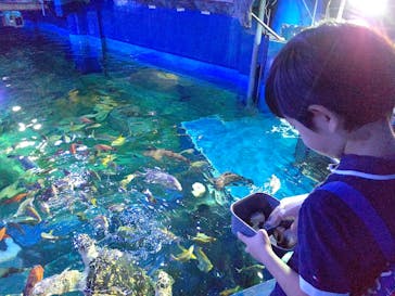 しながわ水族館に投稿された画像（2023/10/18）