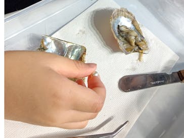 しながわ水族館に投稿された画像（2023/10/18）