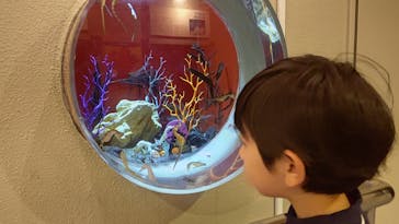 しながわ水族館に投稿された画像（2023/10/18）