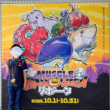 しながわ水族館に投稿された画像（2023/10/18）