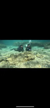 武藤潜水に投稿された画像（2023/10/18）