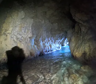 武藤潜水に投稿された画像（2023/10/18）