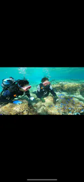 武藤潜水に投稿された画像（2023/10/18）
