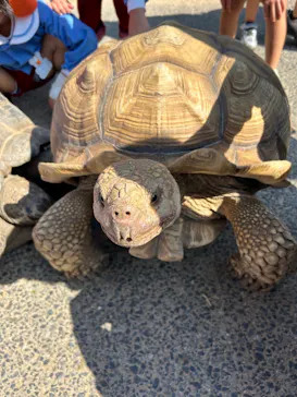 神戸どうぶつ王国に投稿された画像（2023/10/18）